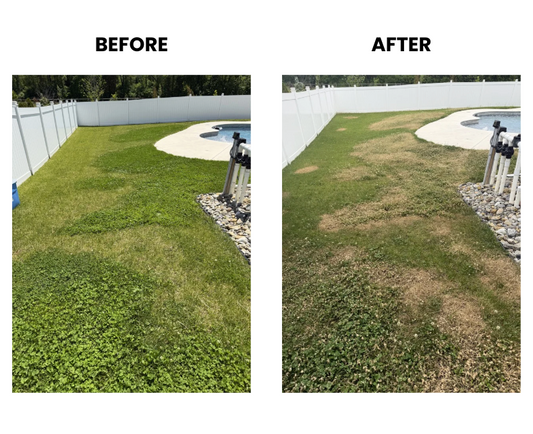DIY Natural Weed Killer (That Actually Works)